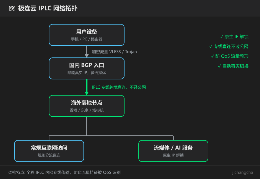 极连云 IPLC 网络拓扑结构示意图